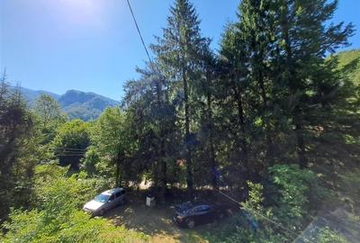 Casă individuală cu 7 camere cu Teren 1660 Mp în Pietroasa - 2