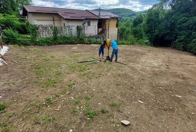 Teren de 1194 mp, în Piatra (Provița de Jos) - 8