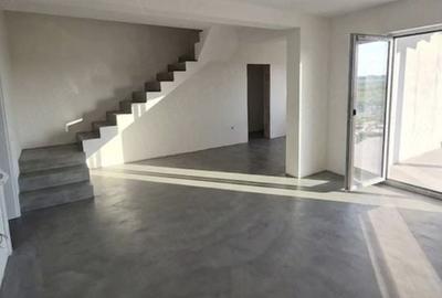 Casă cu 3 camere în Moșnița Nouă