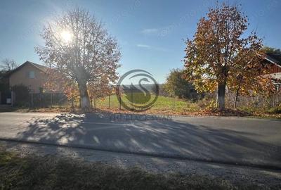 Teren de 12650 mp, în Ghirdoveni - 4