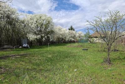 Teren de 651 mp, în Snagov - 2