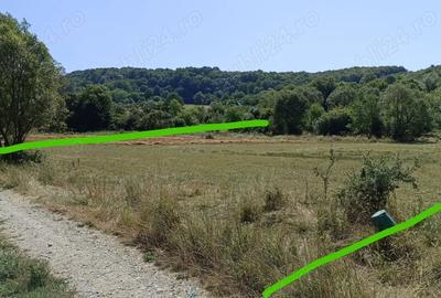 Teren de 2500 mp, în Central - 4