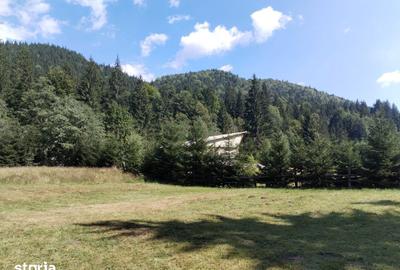 Teren de 1153 mp, în Lunca - 1