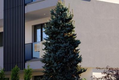 Apartament cu 3 camere decomandat în Iancu Nicolae - 8