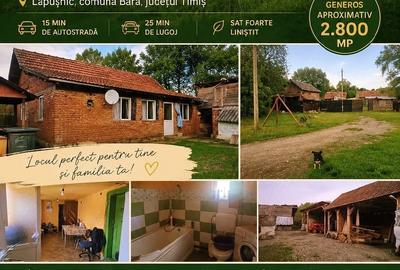 Casă cu 2 camere cu Teren 2800 Mp în Lăpușnic - 1
