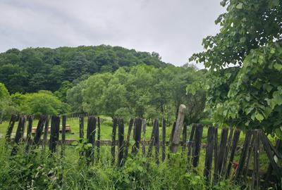 Teren agricol intravilan de 3837 mp, în Central - 4