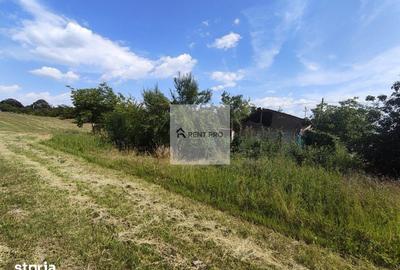 Teren de 11000 mp, în Clejani - 16