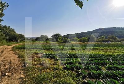 Teren agricol extravilan de 7500 mp, în Șelimbăr - 3