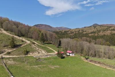 Spațiu comercial, în Valea Doftanei - 4