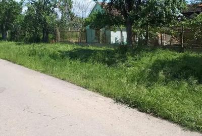 Teren de 2800 mp, în Alioș - 3
