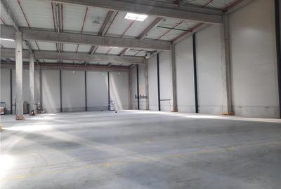 Spațiu industrial, de 1,500 mp, în Periferie - 1