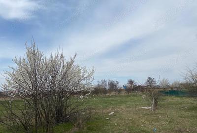 Teren de 937 mp, în Tamași - 1