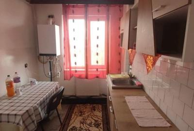 Apartament cu 2 camere semidecomandat, mobilat în Podu Roș - 3