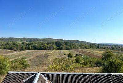 Casă cu 5 camere cu Teren 3650 Mp în Sutești - 1