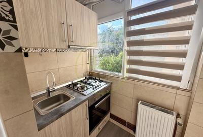 Apartament cu 2 camere decomandat, mobilat în Craiovița Nouă - 5