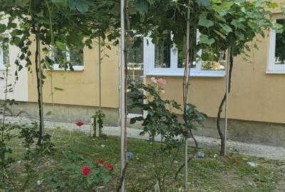 Apartament cu 2 camere semidecomandat în Turceni - 2