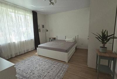 Apartament cu 2 camere decomandat în Plopilor - 9