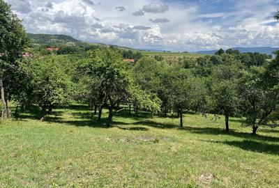 Casă cu 3 camere în Dumbrava - 6