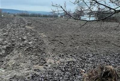Teren Construcții intravilan de 11200 mp, în Nazna - 9