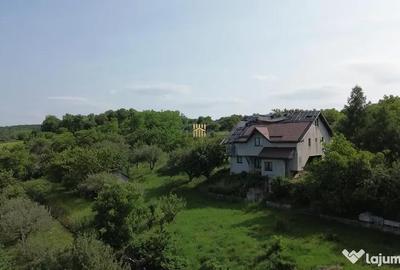 Teren de 4863 mp, în Adâncata - 18