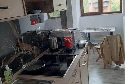 Garsonieră decomandată în Iacobeni - 1