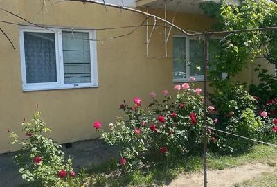 Apartament cu 3 camere decomandat în Prundu - 4