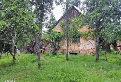 Casă cu 2 camere cu Teren 15000 Mp în Finiș - 3