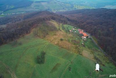 Teren de 4300 mp, în Central - 5