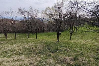 Teren de 2700 mp, în Ghelari - 10
