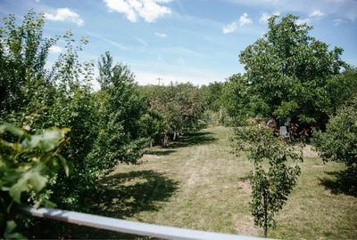 Casă cu 4 camere în Central - 4