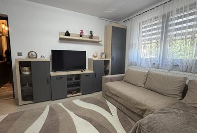 Apartament cu 2 camere semidecomandat, mobilat în Cetate - 10
