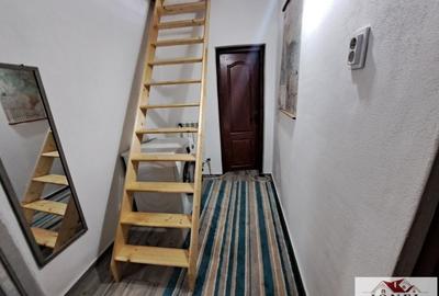 Casă individuală cu 2 camere cu Teren 19549 Mp în Vințu de Jos - 7