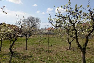 Teren de 845 mp, în Oreavul - 2
