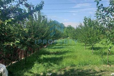 Teren de 1670 mp, în Sălăjan - 1