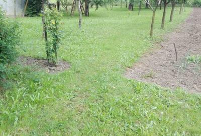 Casă cu 4 camere în Șiria - 5