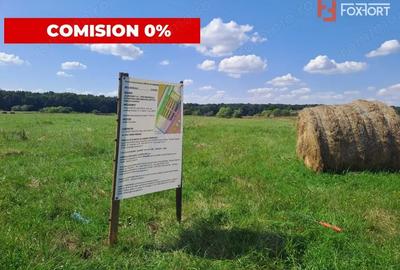 Teren de 700 mp, în Pișchia
