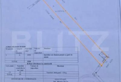 Casă cu 3 camere cu Teren 2920 Mp în Criș