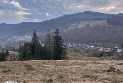 Teren de 1000 mp, în Mălini