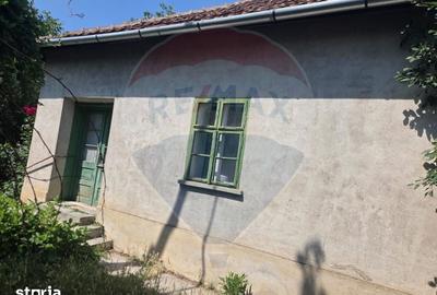Casă cu 4 camere cu Teren 2676 Mp în Ciumeghiu - 6