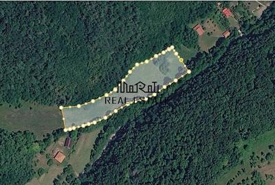 Teren de 5800 mp, în Podele