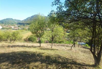 Teren Construcții extravilan de 14075 mp, în Crișcior - 10