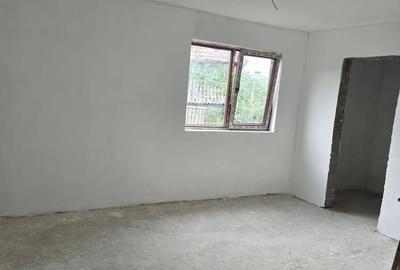 Casă cu 2 camere cu Teren 30000 Mp în Valea Leșului - 9