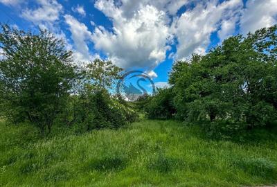 Teren agricol intravilan de 3600 mp, în Gura Vitioarei - 1