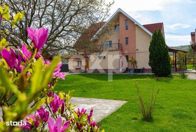 Casă cu 5 camere cu Teren 3659 Mp în Sărata - 1