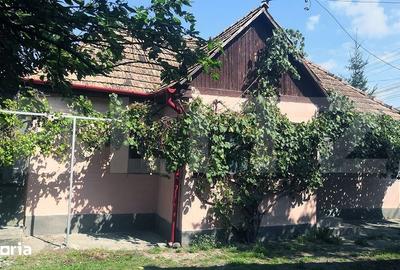 Casă cu 4 camere cu Teren 15277 Mp în Central