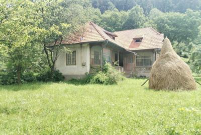 Casă cu 4 camere în Posada