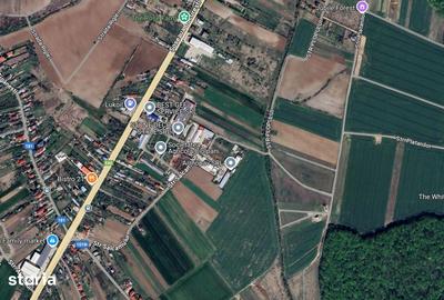 Teren de 6900 mp, în Ciolpani