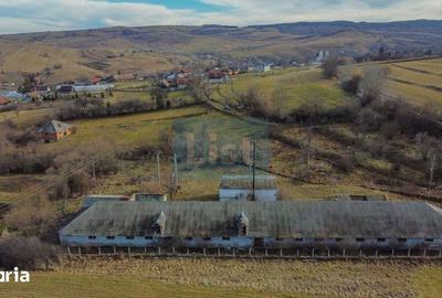 Teren de 7400 mp, în Căpușu Mare - 5