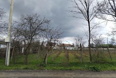 Teren de 1000 mp, în Central - 5