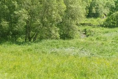 Teren de 3500 mp, în Muntele Băișorii - 8